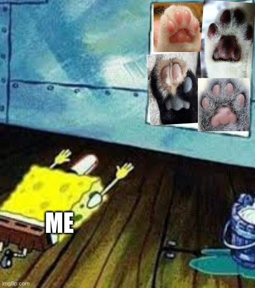 Toe beans!!!! | ME | image tagged in spongebob worship | made w/ Imgflip meme maker