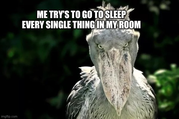 Yeeè | ME TRY’S TO GO TO SLEEP EVERY SINGLE THING IN MY ROOM | image tagged in devious shoebill,yeet | made w/ Imgflip meme maker