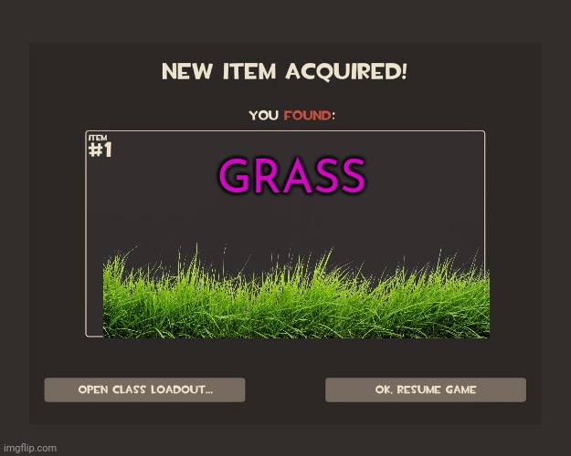 You got tf2 shit | GRASS | image tagged in you got tf2 shit | made w/ Imgflip meme maker