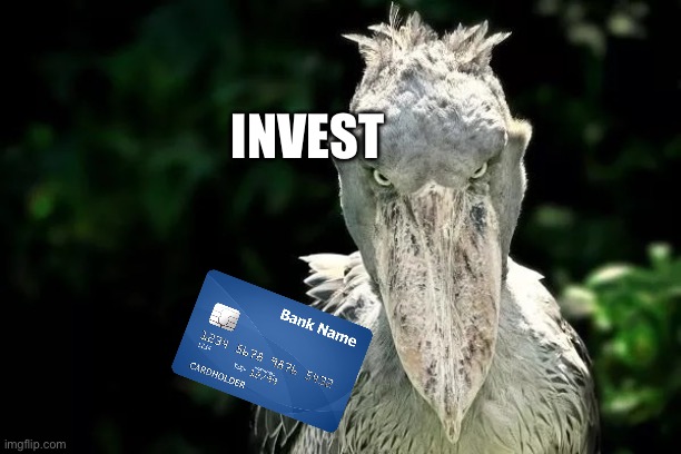 Devious Shoebill | INVEST | image tagged in devious shoebill | made w/ Imgflip meme maker