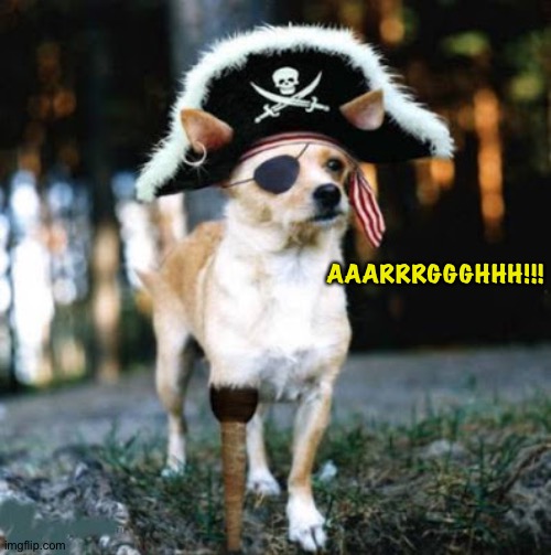 Pirate Dog | AAARRRGGGHHH!!! | image tagged in pirate dog | made w/ Imgflip meme maker