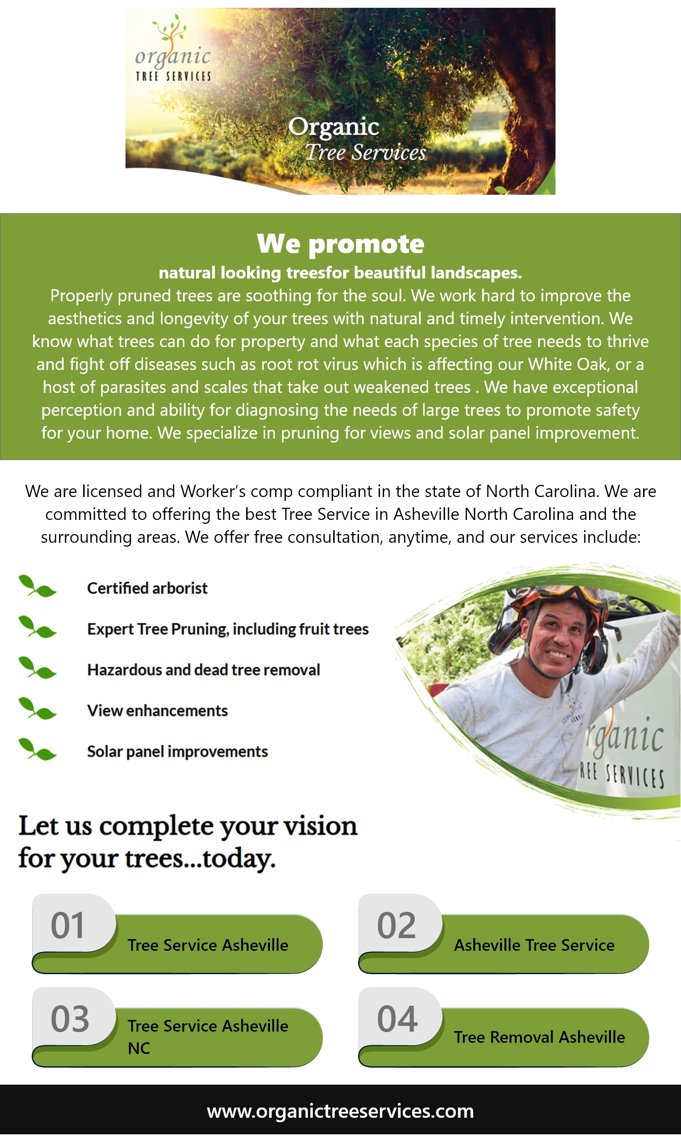 Tree Removal Asheville Blank Meme Template