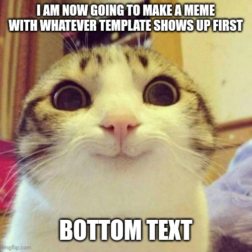 MEW | I AM NOW GOING TO MAKE A MEME WITH WHATEVER TEMPLATE SHOWS UP FIRST; BOTTOM TEXT | image tagged in memes,smiling cat | made w/ Imgflip meme maker