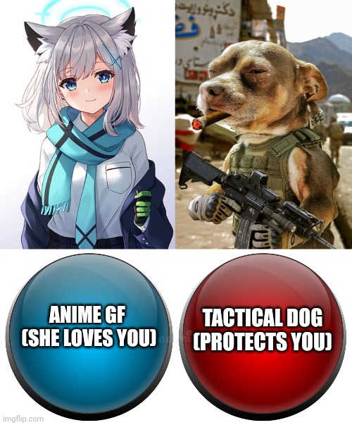 Choose wisely | TACTICAL DOG
(PROTECTS YOU); ANIME GF 
(SHE LOVES YOU) | image tagged in red and blue buttons | made w/ Imgflip meme maker