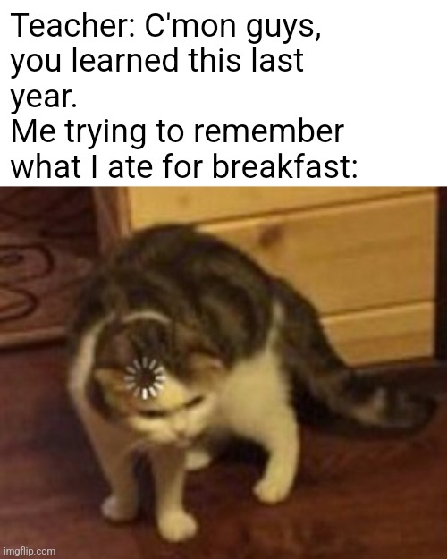 True | Teacher: C'mon guys, 
you learned this last
year.

Me trying to remember
what I ate for breakfast: | image tagged in loading cat | made w/ Imgflip meme maker
