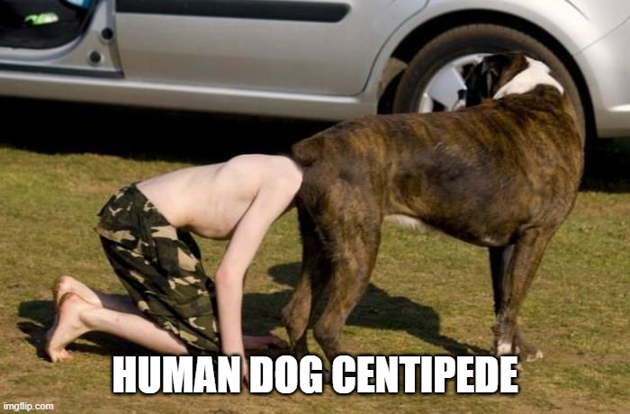 Human Dog Centipede | HUMAN DOG CENTIPEDE | image tagged in boxer butt | made w/ Imgflip meme maker