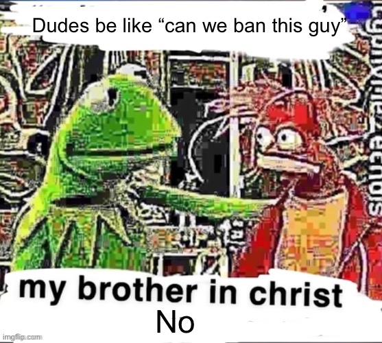 I can’t ban some dude just because he’s annoying unless I want my mod revoked | Dudes be like “can we ban this guy”; No | image tagged in my brother in christ | made w/ Imgflip meme maker