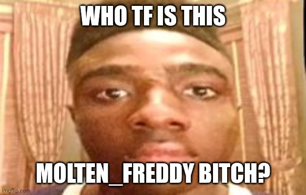 bruh | WHO TF IS THIS; MOLTEN_FREDDY BITCH? | image tagged in bruh | made w/ Imgflip meme maker