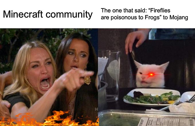 Everyone want Fireflies now(mostly) | Minecraft community; The one that said: “Fireflies are poisonous to Frogs” to Mojang | image tagged in memes,woman yelling at cat | made w/ Imgflip meme maker