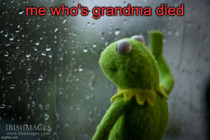 kermit window | me who's grandma died | image tagged in kermit window | made w/ Imgflip meme maker