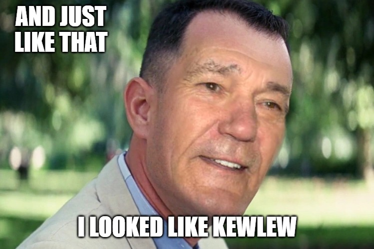 AND JUST LIKE THAT; I LOOKED LIKE KEWLEW | image tagged in just like that | made w/ Imgflip meme maker