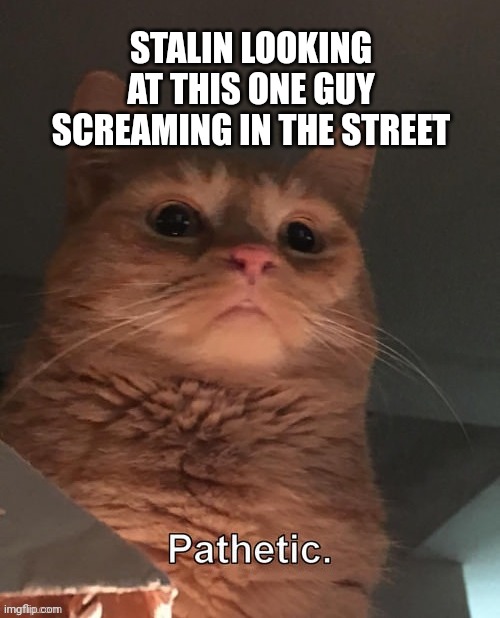 He died | STALIN LOOKING AT THIS ONE GUY SCREAMING IN THE STREET | image tagged in pathetic cat,stalin,gulag,soviet union | made w/ Imgflip meme maker