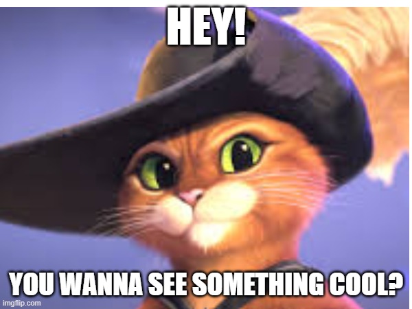 Puss in Boots: The Last Wish: Hey! You wanna see something cool? | HEY! YOU WANNA SEE SOMETHING COOL? | image tagged in puss in boots,mario,undertale | made w/ Imgflip meme maker
