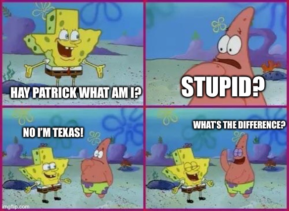 Texas Spongebob | HAY PATRICK WHAT AM I? STUPID? NO I’M TEXAS! WHAT’S THE DIFFERENCE? | image tagged in texas spongebob | made w/ Imgflip meme maker