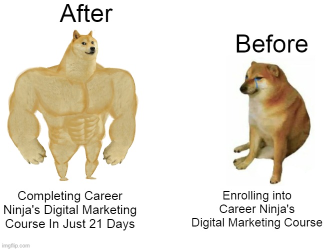 Career Ninja | After; Before; Enrolling into Career Ninja's Digital Marketing Course; Completing Career Ninja's Digital Marketing Course In Just 21 Days | image tagged in memes,buff doge vs cheems | made w/ Imgflip meme maker