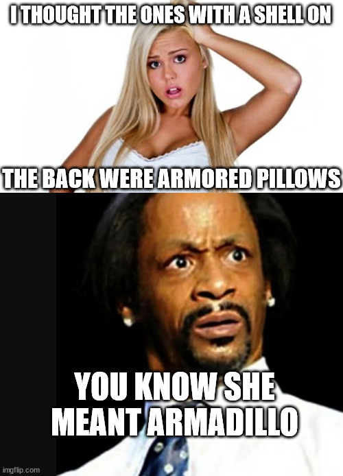 I THOUGHT THE ONES WITH A SHELL ON THE BACK WERE ARMORED PILLOWS YOU KNOW SHE MEANT ARMADILLO | made w/ Imgflip meme maker