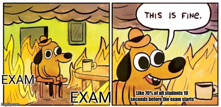 Is it true or is it false? | EXAM; Like 70% of all students 10 seconds before the exam starts; EXAM | image tagged in memes,this is fine,true or false | made w/ Imgflip meme maker
