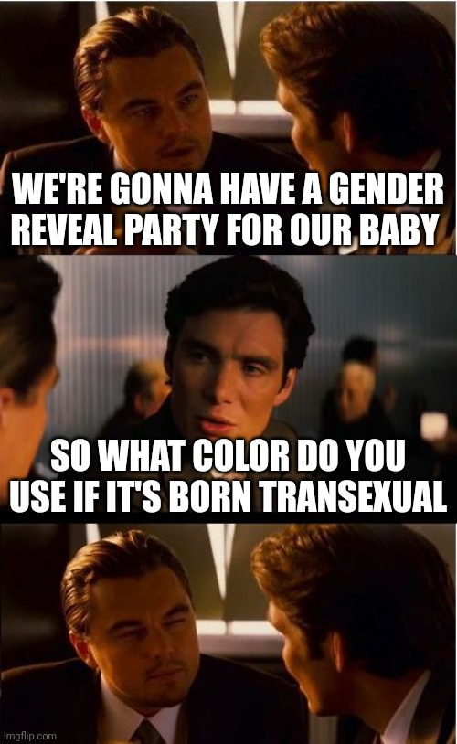 Inception trans | WE'RE GONNA HAVE A GENDER REVEAL PARTY FOR OUR BABY; SO WHAT COLOR DO YOU USE IF IT'S BORN TRANSEXUAL | image tagged in memes,inception | made w/ Imgflip meme maker