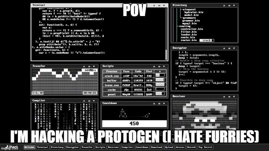 Hacking Screen | POV; I'M HACKING A PROTOGEN (I HATE FURRIES) | image tagged in hacking screen | made w/ Imgflip meme maker