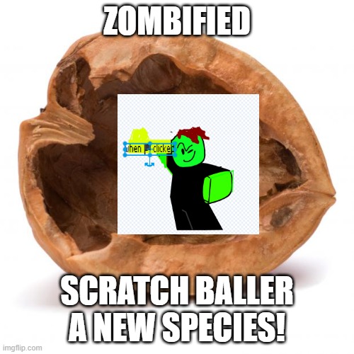zombified scratch baller in a nutshell | ZOMBIFIED; SCRATCH BALLER
A NEW SPECIES! | image tagged in nutshell,baller,my zombie apocalypse team,tis but a scratch | made w/ Imgflip meme maker
