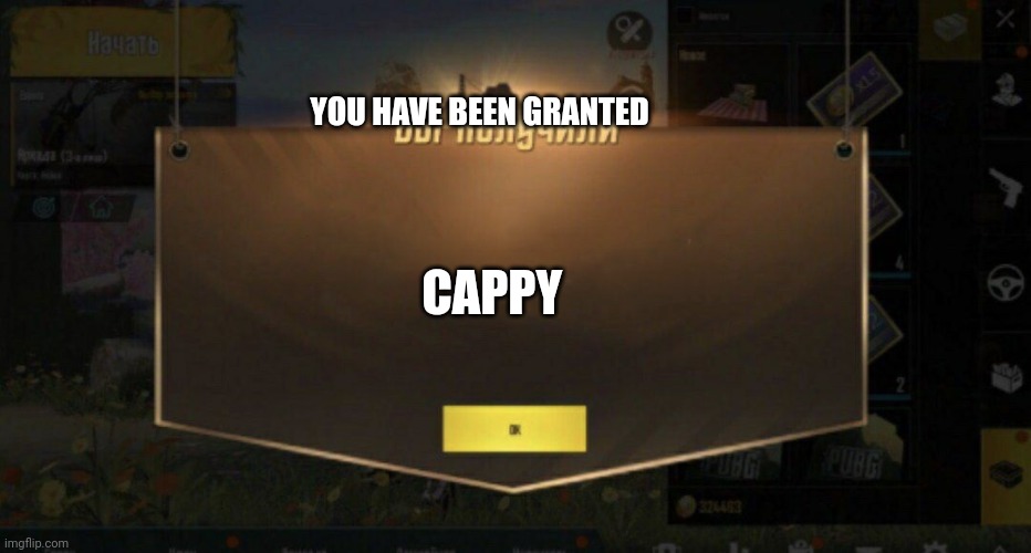 Playing Mario od | YOU HAVE BEEN GRANTED; CAPPY | image tagged in you have been granted | made w/ Imgflip meme maker