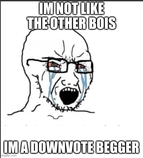 iM So QuRiKeY | IM NOT LIKE THE OTHER BOIS; IM A DOWNVOTE BEGGER | image tagged in im not like the other boys,not upvote begging,memes,different,oh wow are you actually reading these tags,stop reading the tags | made w/ Imgflip meme maker