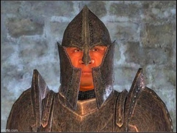 Oblivion Guard | image tagged in oblivion guard | made w/ Imgflip meme maker