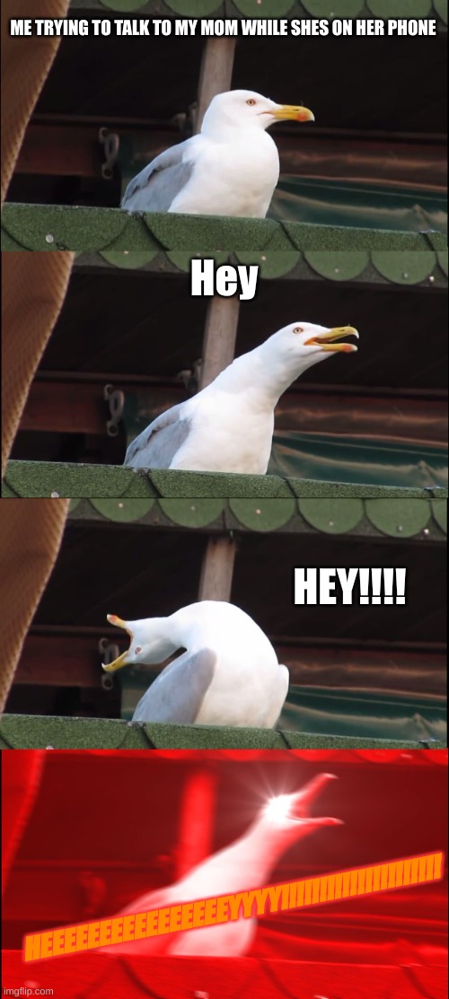 Inhaling Seagull | ME TRYING TO TALK TO MY MOM WHILE SHES ON HER PHONE; Hey; HEY!!!! HEEEEEEEEEEEEEEEEYYYY!!!!!!!!!!!!!!!!!!!!! | image tagged in memes,inhaling seagull | made w/ Imgflip meme maker