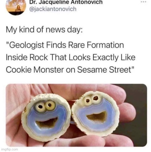 image tagged in sesame street,wholesome,cookies,memes,wholesome content,funny | made w/ Imgflip meme maker