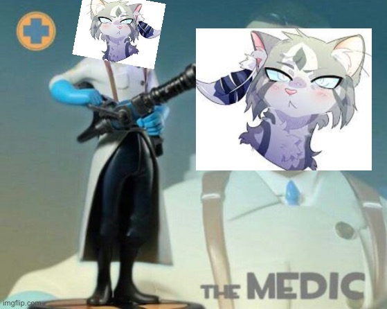idk I've never read the books | image tagged in the medic tf2 | made w/ Imgflip meme maker
