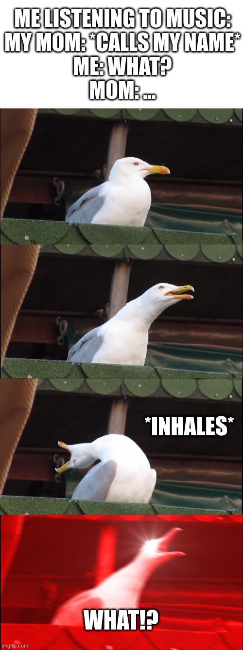 Inhaling Seagull Meme | ME LISTENING TO MUSIC:
MY MOM: *CALLS MY NAME*
ME: WHAT?
MOM: ... *INHALES*; WHAT!? | image tagged in memes,inhaling seagull | made w/ Imgflip meme maker