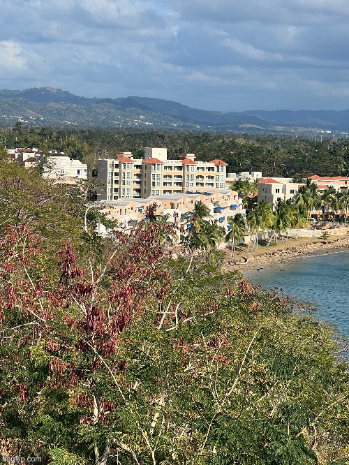 A photo of a luxury hotel in Puerto Rico (I’m on vacation) | made w/ Imgflip meme maker