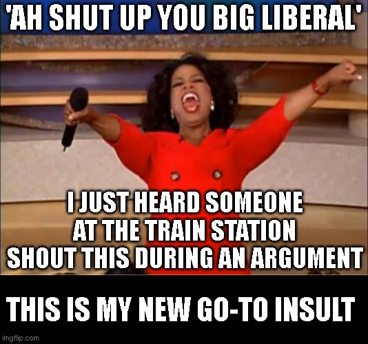 Oprah You Get A | 'AH SHUT UP YOU BIG LIBERAL'; I JUST HEARD SOMEONE AT THE TRAIN STATION SHOUT THIS DURING AN ARGUMENT; THIS IS MY NEW GO-TO INSULT | image tagged in memes,oprah you get a | made w/ Imgflip meme maker