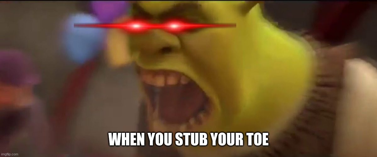 Shrek Screaming | WHEN YOU STUB YOUR TOE | image tagged in shrek screaming | made w/ Imgflip meme maker