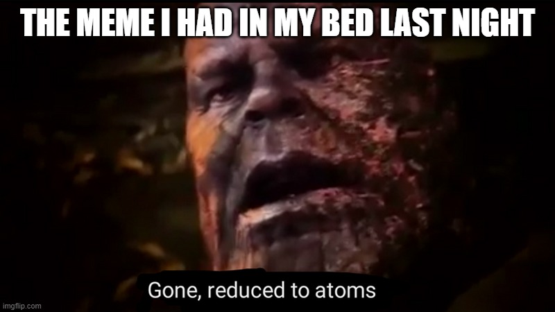 Thanos gone, reduced to atoms | THE MEME I HAD IN MY BED LAST NIGHT | image tagged in thanos gone reduced to atoms | made w/ Imgflip meme maker