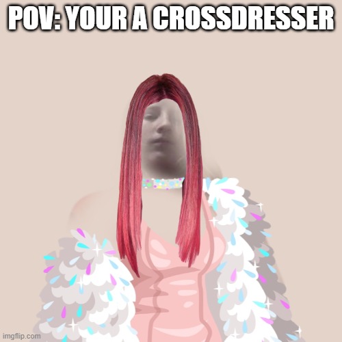 pov: your a crossdresser | POV: YOUR A CROSSDRESSER | image tagged in crossdresser | made w/ Imgflip meme maker