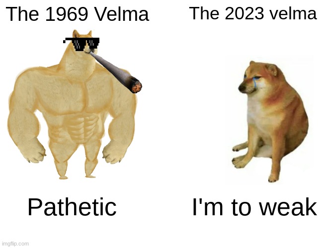 Buff Doge vs. Cheems | The 1969 Velma; The 2023 velma; Pathetic; I'm to weak | image tagged in memes,buff doge vs cheems | made w/ Imgflip meme maker