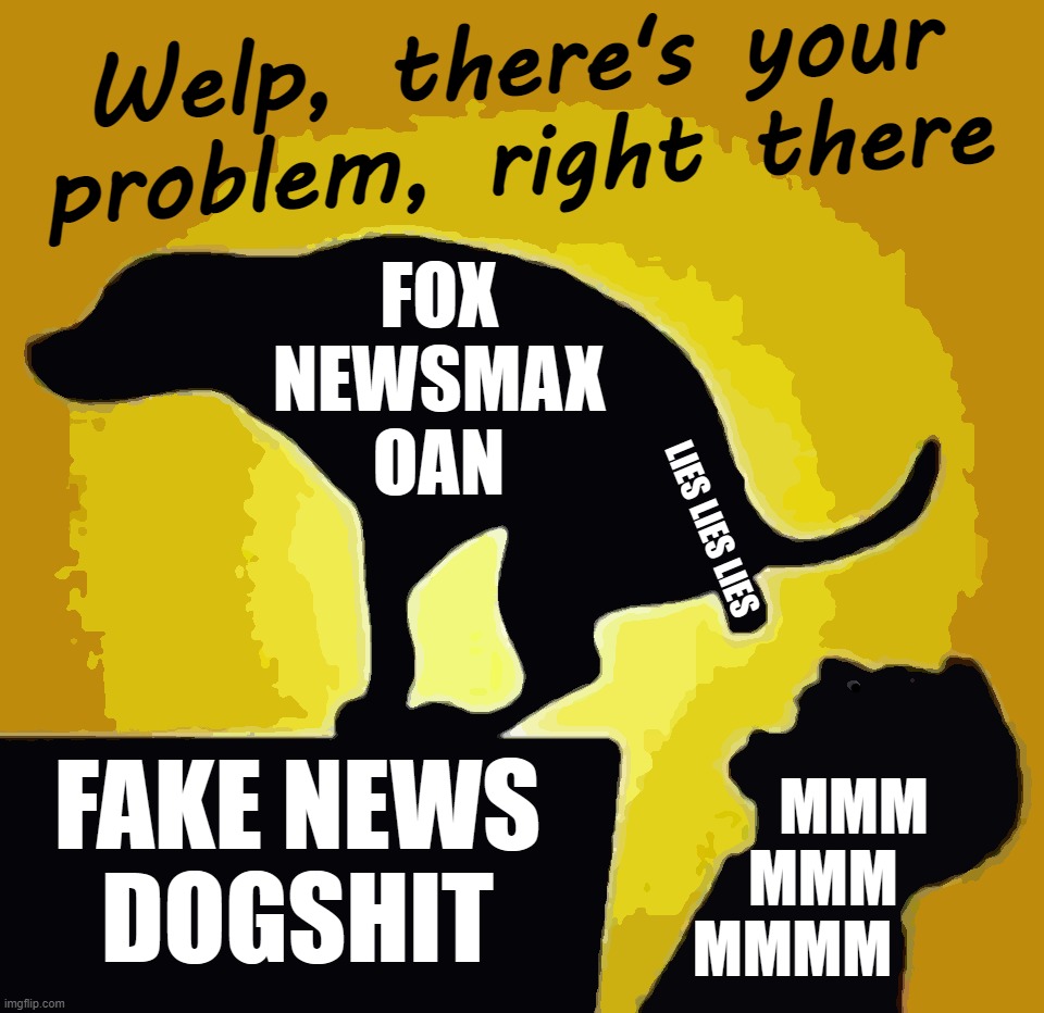 welp, there THE problem... | Welp, there's your problem, right there; FOX
NEWSMAX
OAN; LIES LIES LIES; FAKE NEWS
DOGSHIT; MMM
  MMM
MMMM | image tagged in dog pooping in mouth,fake news,stupid people,be like,mmmmm,media lies | made w/ Imgflip meme maker