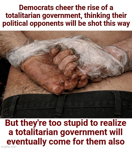 Democrats cheer the rise of a totalitarian government, thinking their political opponents will be shot this way; But they're too stupid to realize
a totalitarian government will
eventually come for them also | image tagged in memes,democrats,joe biden,totalitarianism,shot,hands bound | made w/ Imgflip meme maker