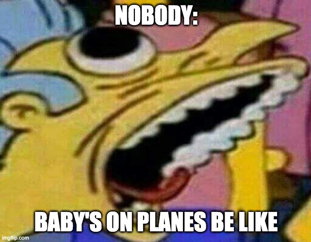 When u stub ur toe | NOBODY:; BABY'S ON PLANES BE LIKE | image tagged in when u stub ur toe | made w/ Imgflip meme maker