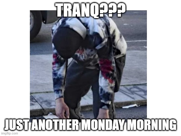 Tranq??? | TRANQ??? JUST ANOTHER MONDAY MORNING | image tagged in mondays,drugs,work | made w/ Imgflip meme maker
