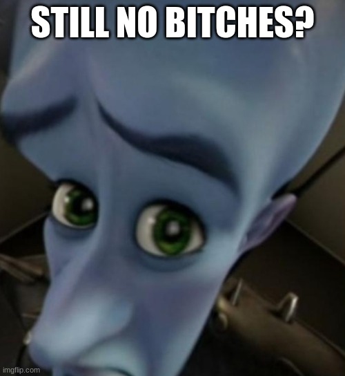 @Kobenis-car | STILL NO BITCHES? | image tagged in megamind no bitches | made w/ Imgflip meme maker