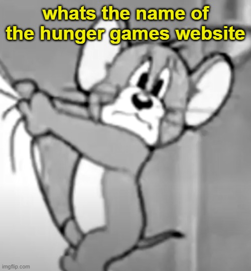 awww the skrunkly | whats the name of the hunger games website | image tagged in awww the skrunkly | made w/ Imgflip meme maker