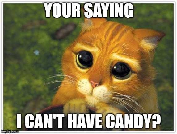 but but.... | YOUR SAYING; I CAN'T HAVE CANDY? | image tagged in memes,shrek cat | made w/ Imgflip meme maker