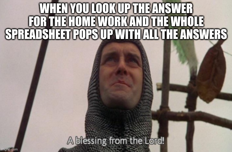 memes that make me cry 35 | WHEN YOU LOOK UP THE ANSWER FOR THE HOME WORK AND THE WHOLE SPREADSHEET POPS UP WITH ALL THE ANSWERS | image tagged in a blessing from the lord | made w/ Imgflip meme maker