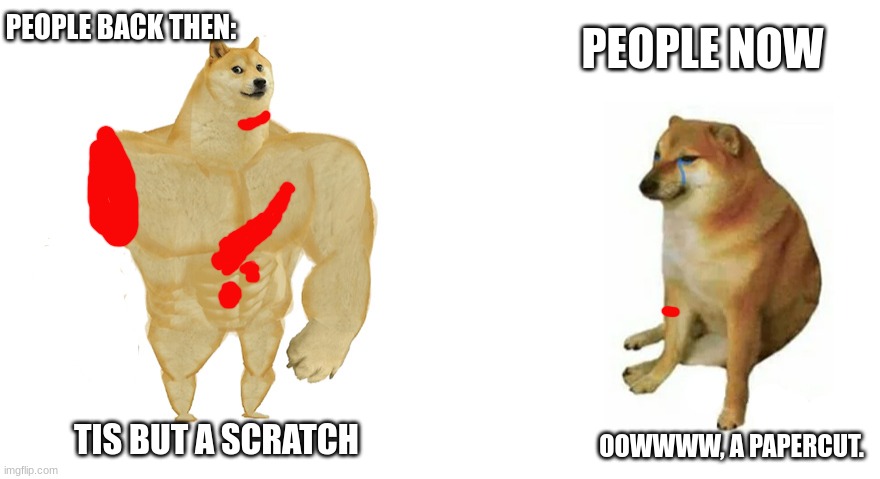 we've gotten soft. | PEOPLE BACK THEN:; PEOPLE NOW; TIS BUT A SCRATCH; OOWWWW, A PAPERCUT. | image tagged in buff doge vs crying cheems | made w/ Imgflip meme maker