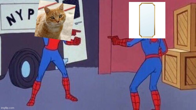 spiderman pointing at spiderman | image tagged in spiderman pointing at spiderman | made w/ Imgflip meme maker