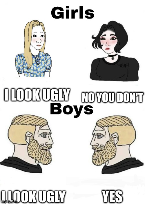 Girls vs Boys | I LOOK UGLY; NO YOU DON'T; YES; I LOOK UGLY | image tagged in girls vs boys | made w/ Imgflip meme maker