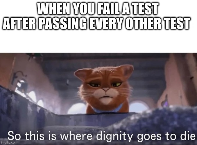 Rip the kid that had to face his parents after this | WHEN YOU FAIL A TEST AFTER PASSING EVERY OTHER TEST | image tagged in so this is where dignity goes to die | made w/ Imgflip meme maker