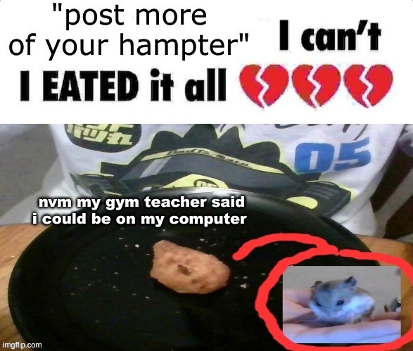 post more | nvm my gym teacher said i could be on my computer | image tagged in post more | made w/ Imgflip meme maker